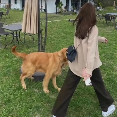 来聊聊须绪美吧