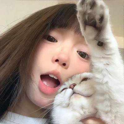 爱出猫